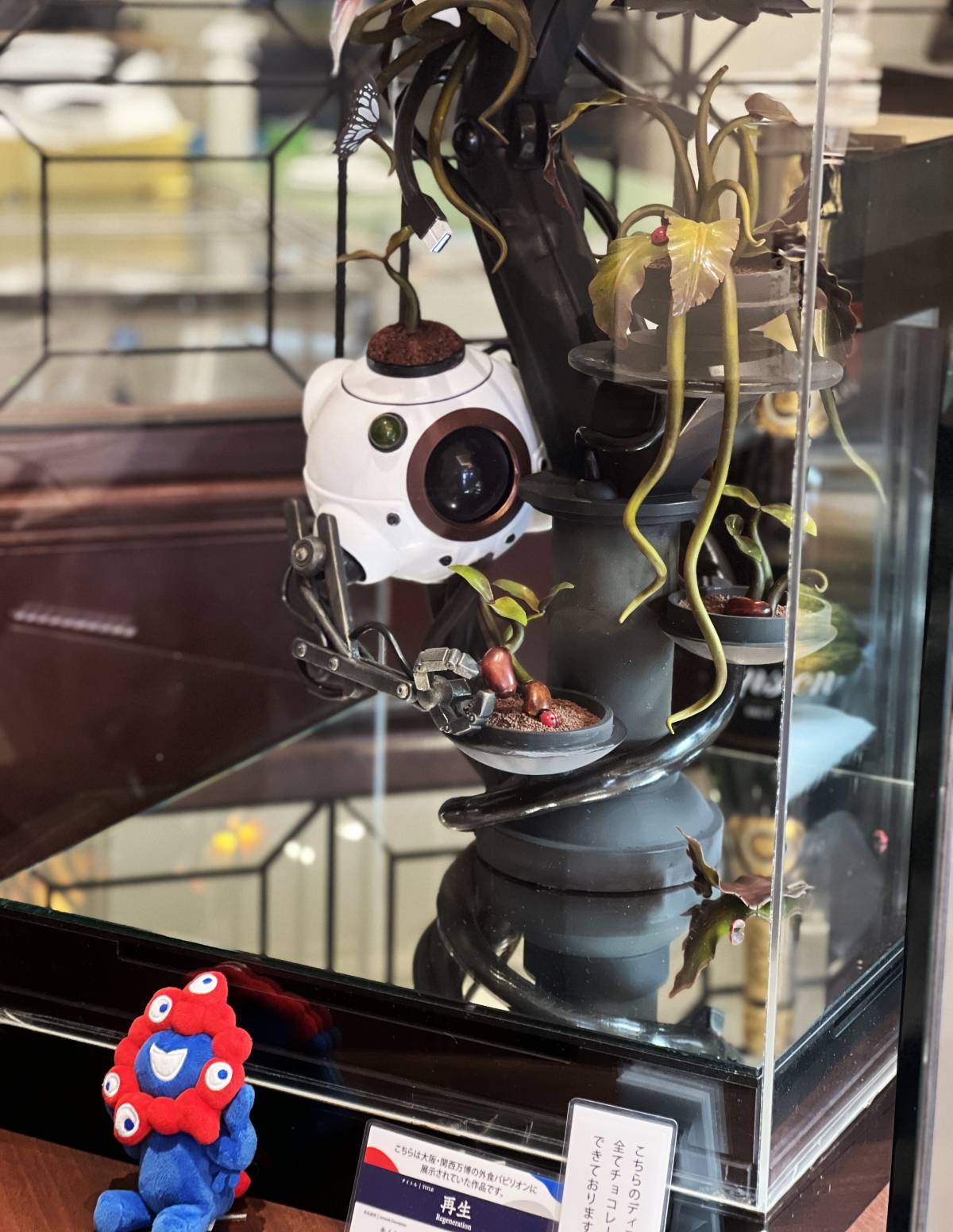 カカオティエゴカン