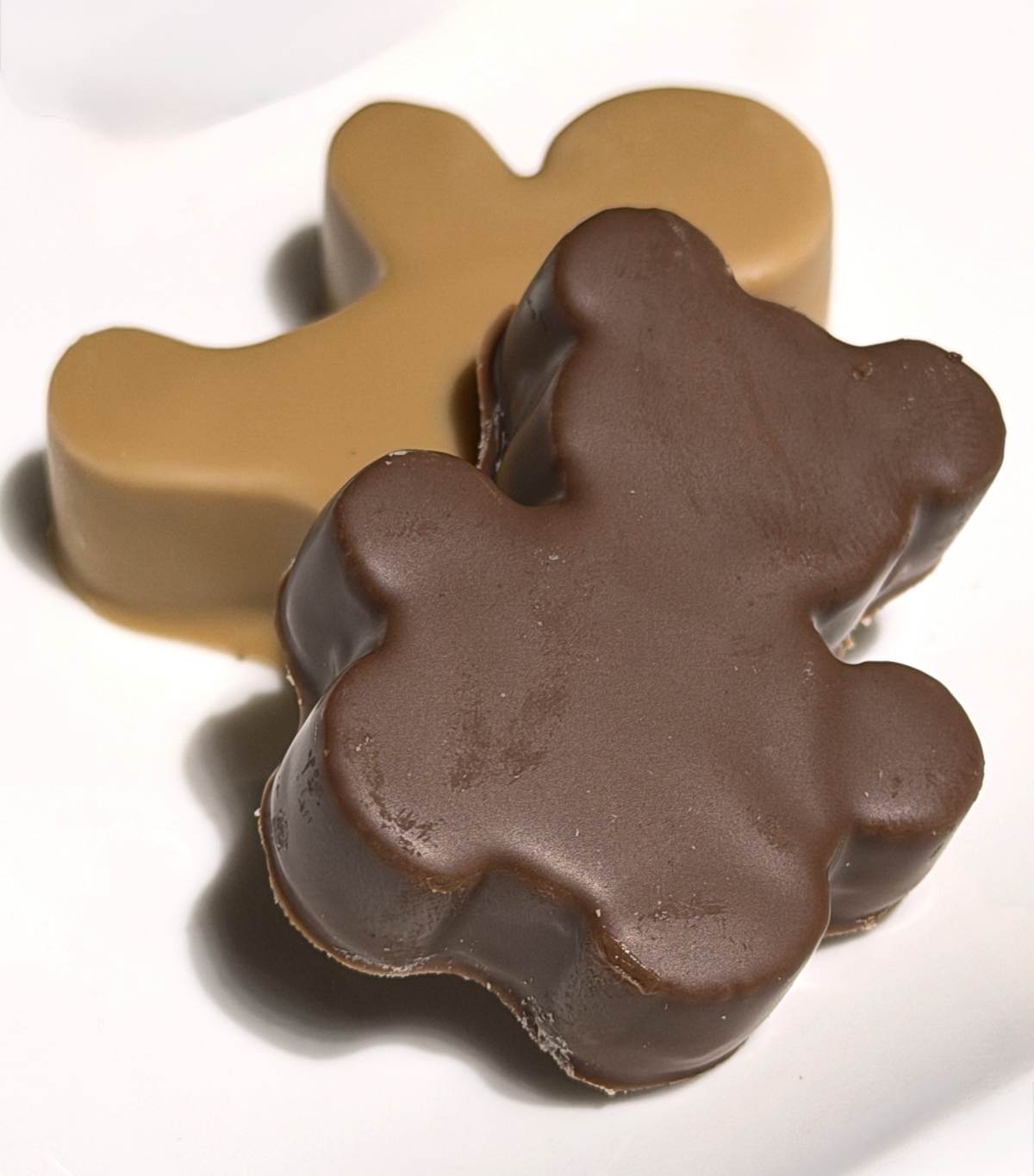 プティ ビスキュイ エ カンパニー