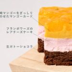 【NEWS】平均糖度15度のマンゴーを贅沢に使用！「宮崎マンゴーの生ガトーショコラ」