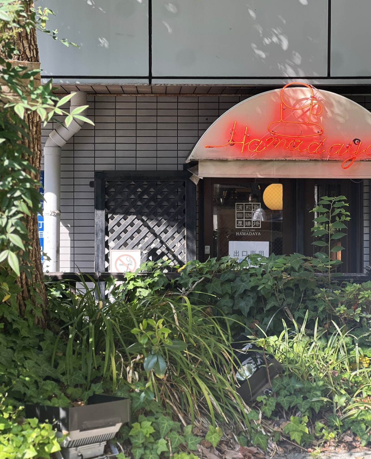 自家焙煎珈琲珈琲 濱田屋 外観