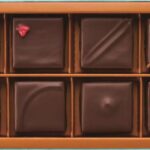 「パトリック・ロジェ」にて活躍！「LoDYc chocolate（ロディックチョコレート）」駒込・六義園近くにオープン